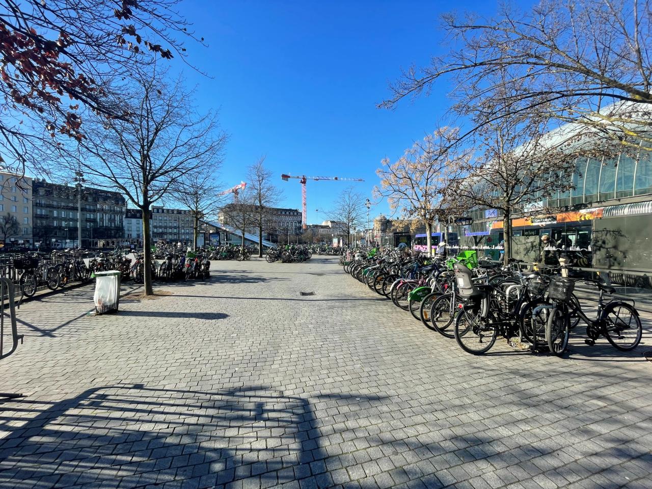 Bureau Strasbourg 3996m² Location bureau Strasbourg Bas-Rhin OLBUR2427550 3